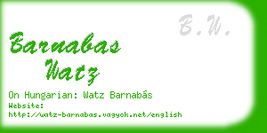 barnabas watz business card